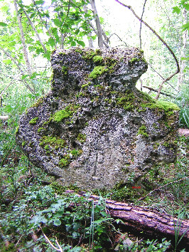 steinkreuz gut unterholz