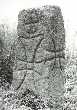 kopie lit. g. mueller-h. quietzsch 1977