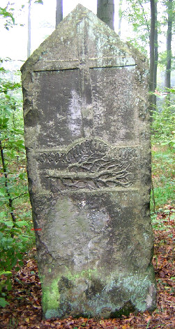 rueckseite