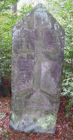 wettberg-junker stein nettelrede 