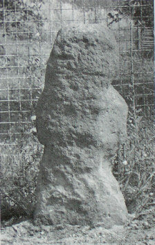 kopie lit. h. quietzsch 1980