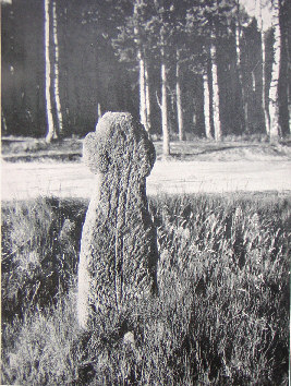kopie lit. dr. kuhfahl 1928