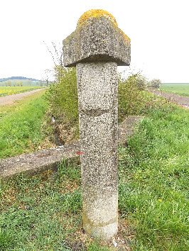 vogteier hut bollstedt