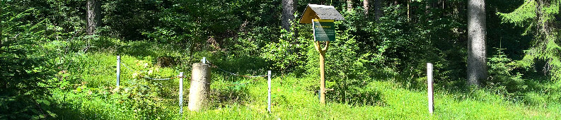 standort hirschsprungweg