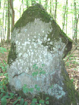 denkstein alter mann 