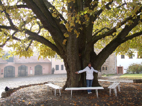 burglinde creuzburg