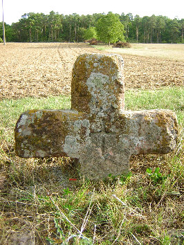 steinkreuz dienstadt