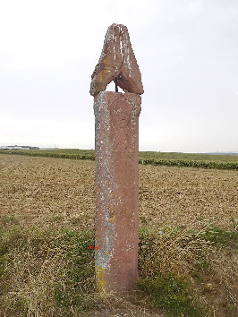 bischofskappe doerlesberg 