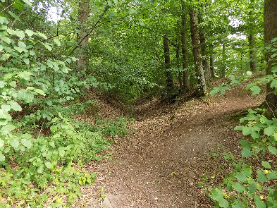 kehrweg ausgang des hohlweges am einbach