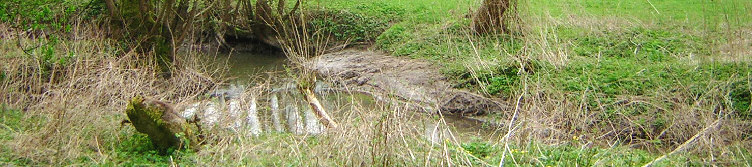 standort an der mittelebrach