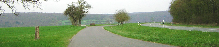 standort altstrasse blick nach norden