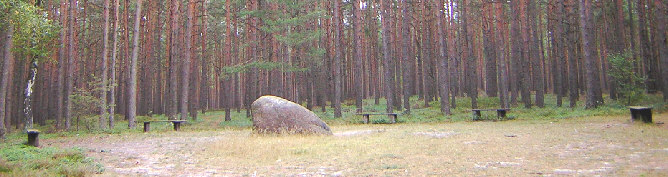 standort bickelsteiner heide