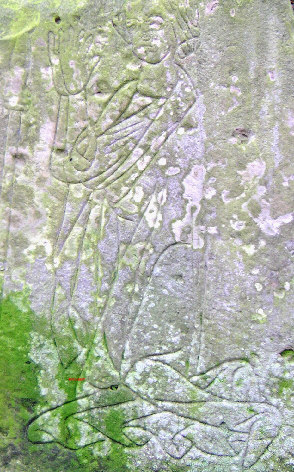 detail darstellung