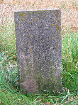 gedenkstein erling