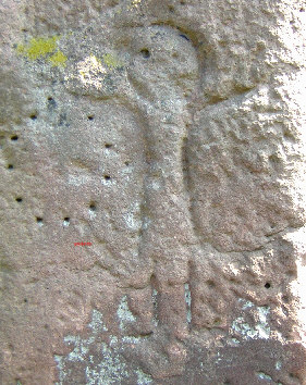 detail darstellung
