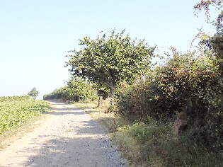 standort kreuzackerweg