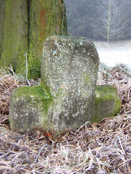 steinkreuz etzelsrode