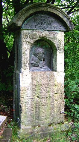 beda stein beda stein