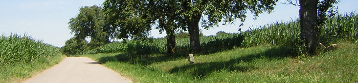 standort kirchweg