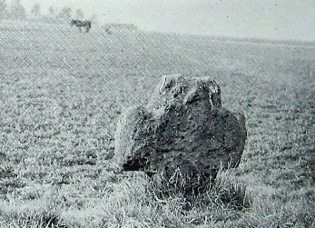 kopie lit. f. stoerzner 1984