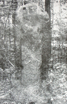 kopie lit. g. mueller-h. quietzsch 1977