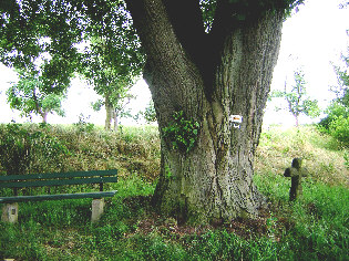 standort wuestung brinkheim