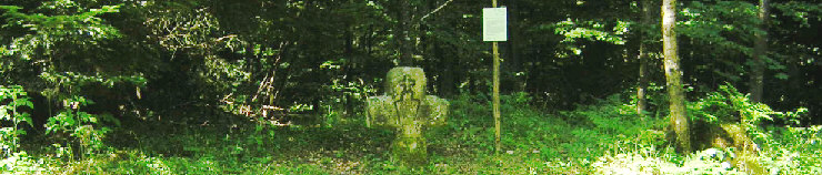 standort schlittenweg-kreuzsteinweg