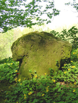 steinkreuz hetzdorf