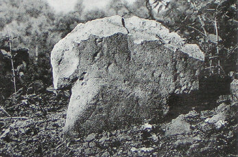 kopie lit. f. stoerzner 1988