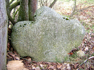 steinkreuz hohenwald