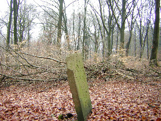 standort hasenwinkel 