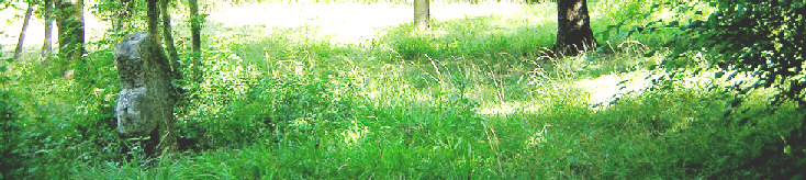 standort schlossgarten 
