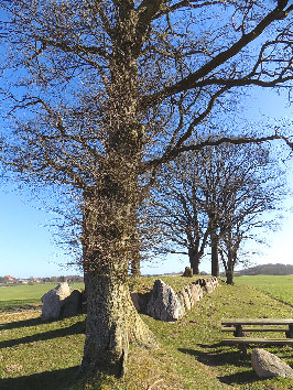 langbett karlsminde