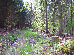 standort mordstelle schreckekammweg