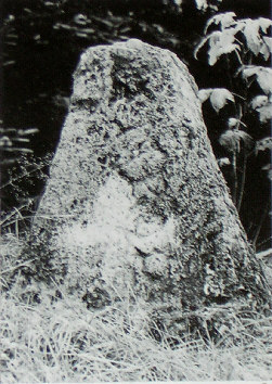 kopie lit. f. stoerzner aus 1972