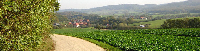 nothelferweg blickrichtung suedosten kloster langheim