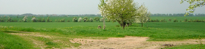 standort blickrichtung westen gegen stobra