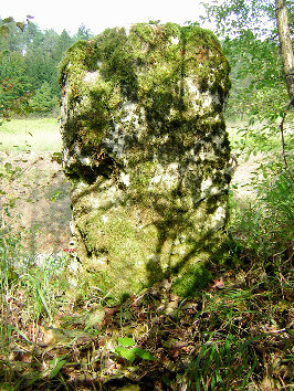 andere seite 