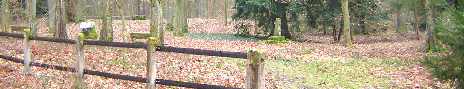 standort pestfriedhof leiberg