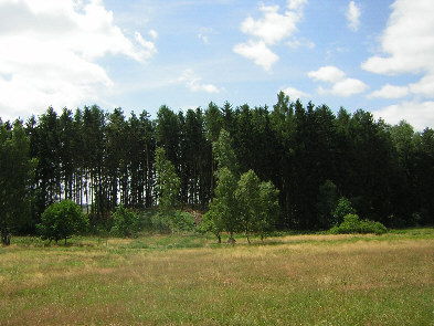 mordhuebel liebensteiner wald