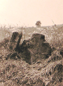 steinkreuz nr. 3  liebenscheid