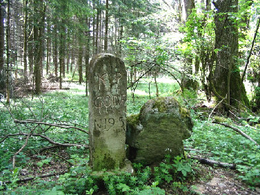 aktuell nr. 1 