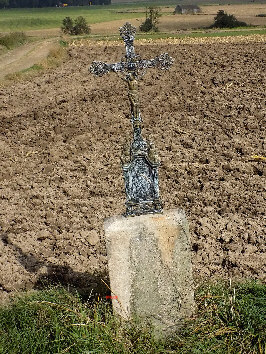 flurkreuz abzweig alter weg nach wondreb