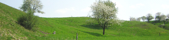 standort westseite oelberg