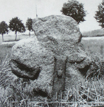 kopie lit. g. mueller-h. quietzsch 1977