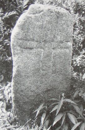 kopie lit. g. mueller-h. quietzsch 1977