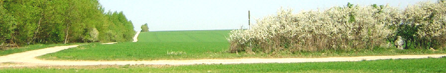 standort wegekreuz