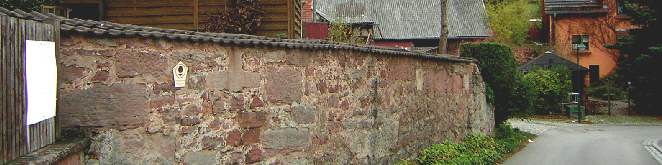 standort hausmauer rotwinde