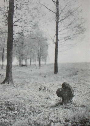 kopie lit. h. quietzsch 1980 aus 1912