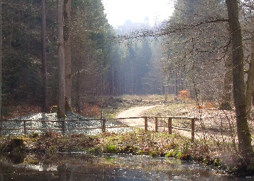 standort spiegelteich blick z. christenberg